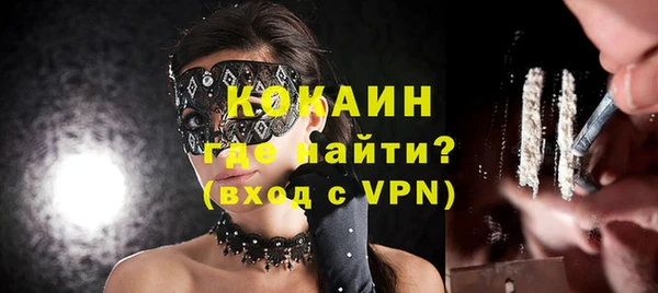 бошки Тавда