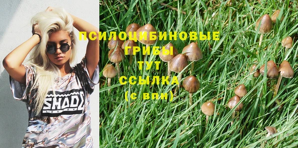 бошки Тавда
