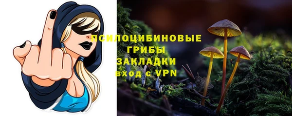 PSILOCYBIN Сясьстрой