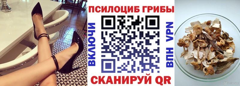 купить  цена  Снежинск  Галлюциногенные грибы прущие грибы 