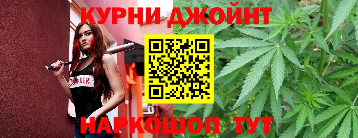 Каннабис сатива Снежинск